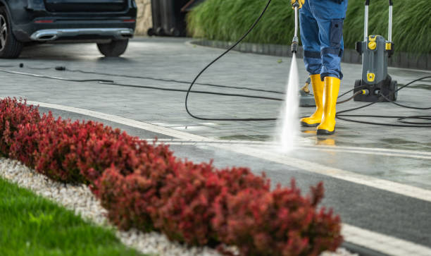 Best Gutter Cleaning and Brightening in Lake Shore, MN